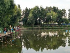 鱼塘钓鱼技巧——鱼儿在等待，你在品味（钓鱼技巧）