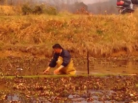 挖沙子钓鱼技巧大揭秘（简单易学的钓鱼技巧让你成为沙滩钓鱼高手）