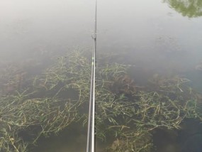 龙岗河钓鱼技巧大揭秘（钓鱼达人分享龙岗河顶级钓鱼技巧）