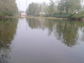 通河沟钓鱼技巧（掌握这些技巧）