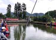 钓鱼场垂钓技巧法（掌握钓鱼场垂钓技巧法提高钓鱼技能）
