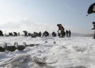 俄罗斯冬季钓鱼技巧（掌握冬季钓鱼窍门）
