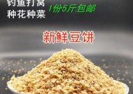 豆饼钓鱼技巧教程？如何提高钓鱼成功率？