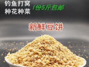 豆饼钓鱼技巧教程？如何提高钓鱼成功率？