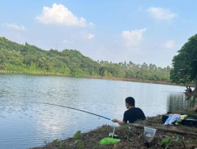 如何掌握钓鱼的15个技巧？这些技巧能提高你的钓鱼成功率吗？
