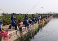 冬天钓鱼的4个技巧是什么？如何提高冬季钓鱼成功率？