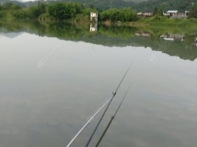 如何提高钓鱼成功率？不上钩时应采取哪些技巧？