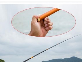 钓鱼自动定位技巧（掌握有效定位技巧，提升钓鱼成功率）
