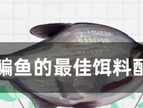 鳊鱼习性是什么？垂钓时有哪些技巧？