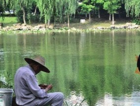 乌龟山水库钓鱼技巧与方法（乌龟山水库钓鱼技巧分享）