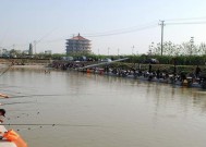 冬天养鱼塘钓鱼技巧有哪些？如何提高冬季钓鱼成功率？