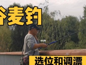 钓鱼打窝技巧（调漂秘籍与窍门）