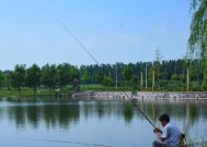 冬天面食钓鱼技巧有哪些？如何提高冬季钓鱼成功率？