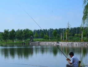 冬天面食钓鱼技巧有哪些？如何提高冬季钓鱼成功率？
