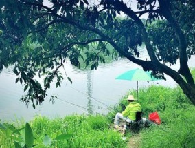 钓鱼不上钩的技巧是什么？如何提高钓鱼成功率？