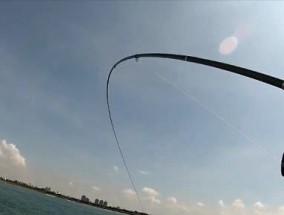浮游矶钓石鲷鱼技巧（掌握钓法）