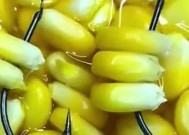 冬天用玉米钓鱼效果好吗？有哪些技巧可以提高成功率？