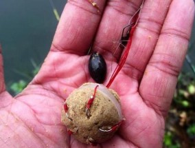 冬季玉米钓鱼技巧（冬季玉米钓鱼秘籍）