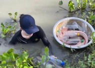 斜坡打窝钓鱼技巧（钓鱼高手的绝招）