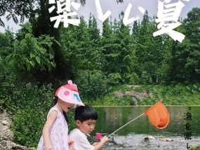 青湖野钓大鲫鱼技巧（揭秘钓鲫鱼的诀窍）