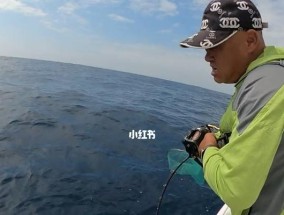 海南春天钓鱼有哪些技巧？如何提高钓鱼成功率？