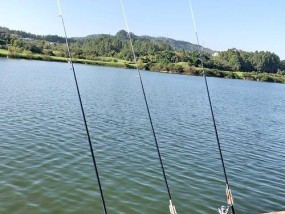 海竿钓鱼新手入门指南（掌握海竿钓鱼的方法与技巧）