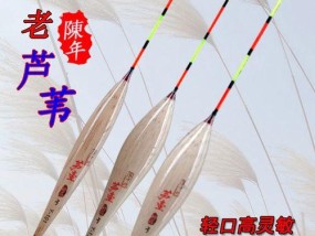 黑坑浮漂钓鱼技巧（掌握钓鱼技巧）