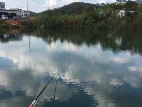 深水码头钓鱼的技巧与方法（探寻深水钓鱼的乐趣）