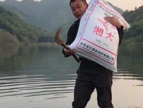 如何掌握钓鱼打重窝技巧？常见问题有哪些？