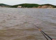 河边钓鱼选钓位的技巧是什么？如何根据季节和天气选择最佳钓位？