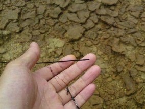 小河尾水库钓鱼技巧（掌握成功的关键）