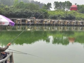 南方冬天钓鱼技巧（提高钓鱼成功率的关键技巧）