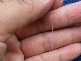 拔河技巧大揭秘（钓鱼高手教你轻松拔河，掌握关键技巧）