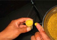 冬季玉米粒钓鱼技巧有哪些？如何提高冬季钓鱼成功率？