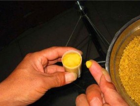 冬季玉米粒钓鱼技巧有哪些？如何提高冬季钓鱼成功率？