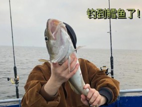 钓鱼技巧（掌握铁皮船上的钓鱼技巧）