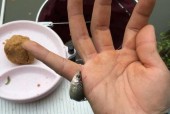 冬天梅雨季节钓鱼技巧有哪些？如何应对梅雨天气提高钓鱼成功率？
