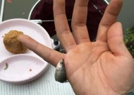 冬天梅雨季节钓鱼技巧有哪些？如何应对梅雨天气提高钓鱼成功率？