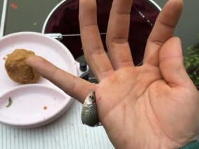 冬天梅雨季节钓鱼技巧有哪些？如何应对梅雨天气提高钓鱼成功率？