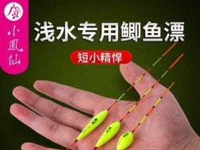野钓浮漂调整技巧大揭秘（掌握调整技巧）