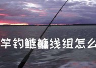 海竿钓鲢鳙底浮技巧和方法是什么？如何提高钓鲢鳙的效率？