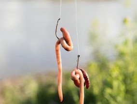 如何掌握钓鱼拉饵吃钩技巧？常见问题有哪些？