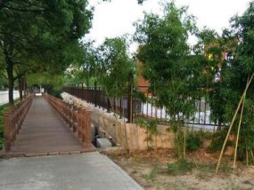 滨水步道钓鱼技巧有哪些？如何提高钓鱼成功率？