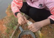 冬天夜钓混养塘钓鱼技巧有哪些？如何应对冬季夜钓的挑战？