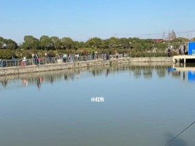 十岁小孩钓鱼技巧（儿童钓鱼的乐趣与技巧）