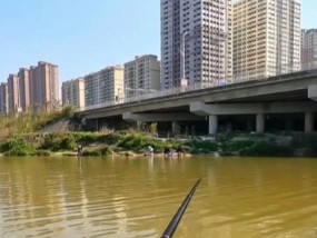 冬季长竿短线钓鱼技巧是什么？如何提高钓鱼成功率？