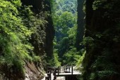 何家沟钓鱼技巧和方法有哪些？如何提高钓鱼成功率？