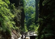 何家沟钓鱼技巧和方法有哪些？如何提高钓鱼成功率？