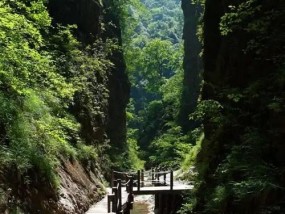 何家沟钓鱼技巧和方法有哪些？如何提高钓鱼成功率？