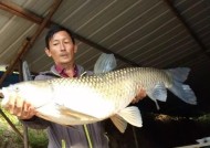 海竿夜钓草鱼的最好方法是什么？有哪些技巧可以提高成功率？